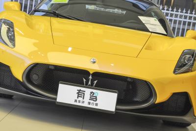 2020款 3.0T 标准版-外观-图片-有驾