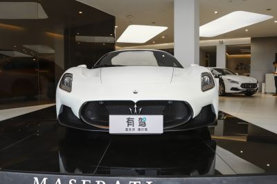 2020款 3.0T 标准版-外观-图片-有驾