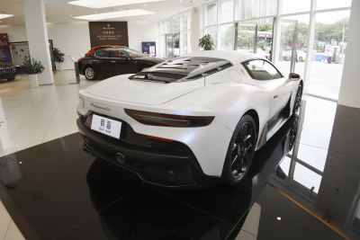 2020款 3.0T 标准版-外观-图片-有驾