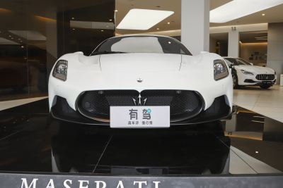 2020款 3.0T 标准版-外观-图片-有驾