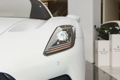 2020款 3.0T 标准版-外观-图片-有驾