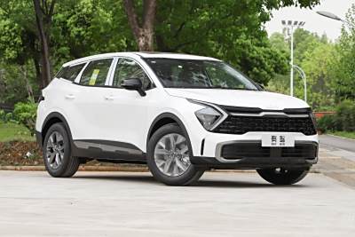 2025款 2.0T 两驱尊贵智享版-外观-图片-有驾