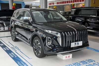 2024款 2.0T PHEV 四驱旗畅版 7座-外观-图片-有驾