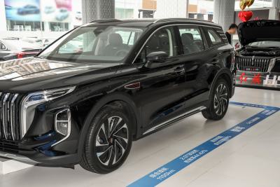 2024款 2.0T PHEV 四驱旗畅版 7座-外观-图片-有驾