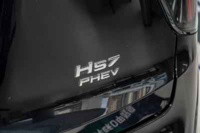 2024款 2.0T PHEV 四驱旗畅版 7座-外观-图片-有驾