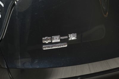 2024款 2.0T PHEV 四驱旗畅版 6座-外观-图片-有驾