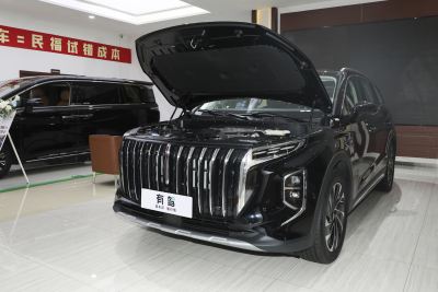 2024款 2.0T PHEV 四驱旗畅版 6座-外观-图片-有驾