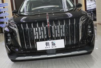 2024款 2.0T PHEV 四驱旗畅版 6座-外观-图片-有驾