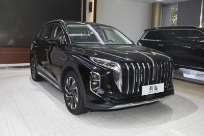 2024款 2.0T PHEV 四驱旗畅版 6座-外观-图片-有驾