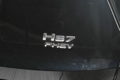 2024款 2.0T PHEV 四驱旗畅版 6座-外观-图片-有驾