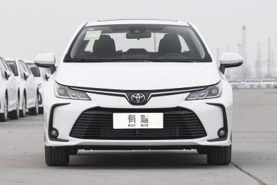 2026款 1.2T 精英版-外观-图片-有驾
