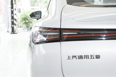 2025款 纯电 600km标准版-外观-图片-有驾