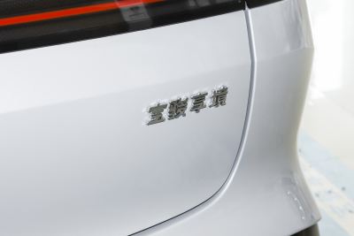 2025款 纯电 600km标准版-外观-图片-有驾