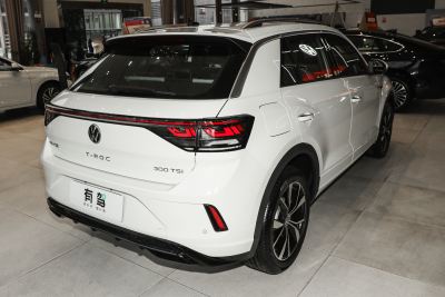 2026款 300TSI DSG两驱辰光版-外观-图片-有驾