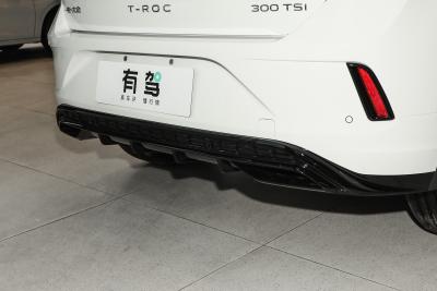 2026款 300TSI DSG两驱辰光版-外观-图片-有驾