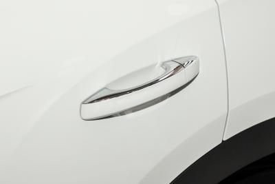 2026款 300TSI DSG两驱辰光版-外观-图片-有驾