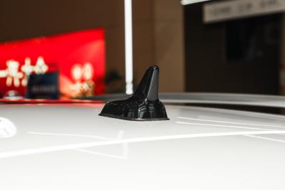 2026款 300TSI DSG两驱辰光版-外观-图片-有驾