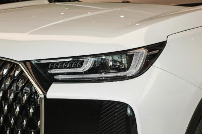2025款 1.6TGDI AT尊贵型-外观-图片-有驾