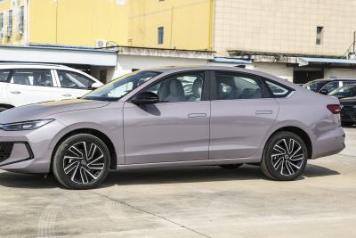 2026款 Pro 300TSI 星空智逸版-外观-图片-有驾