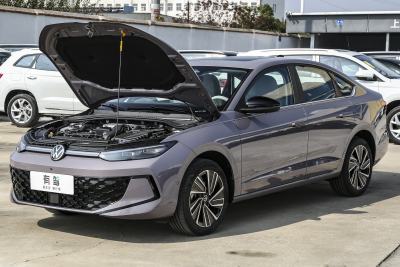 2026款 Pro 300TSI 星空智逸版-外观-图片-有驾