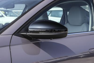 2026款 Pro 300TSI 星空智逸版-外观-图片-有驾