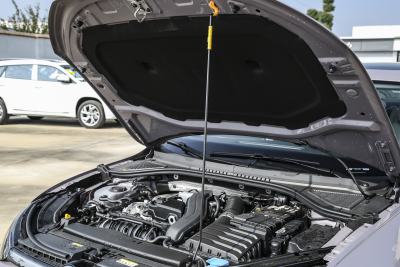 2026款 Pro 300TSI 星空智逸版-外观-图片-有驾