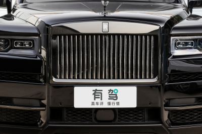 2020款 Black Badge-外观-图片-有驾