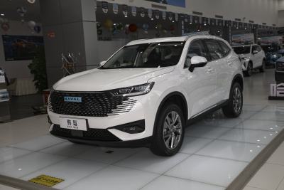 2023款 DHT-PHEV 110KM 悦行版-外观-图片-有驾