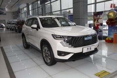 2023款 DHT-PHEV 110KM 悦行版-外观-图片-有驾