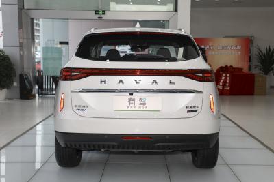 2023款 DHT-PHEV 110KM 悦行版-外观-图片-有驾