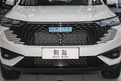 2023款 DHT-PHEV 110KM 悦行版-外观-图片-有驾