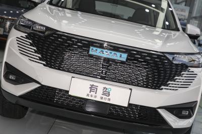 2023款 DHT-PHEV 110KM 悦行版-外观-图片-有驾