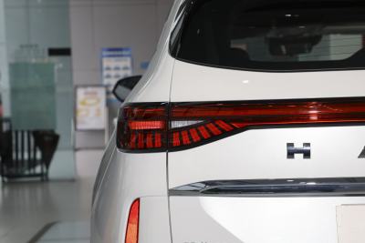 2023款 DHT-PHEV 110KM 悦行版-外观-图片-有驾