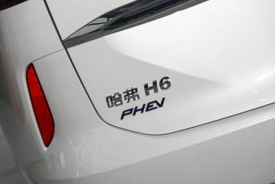 2023款 DHT-PHEV 110KM 悦行版-外观-图片-有驾