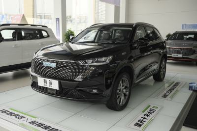 2023款 DHT-PHEV 110KM 悦行版-外观-图片-有驾