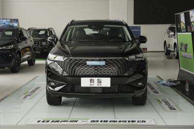 2023款 DHT-PHEV 110KM 悦行版-外观-图片-有驾