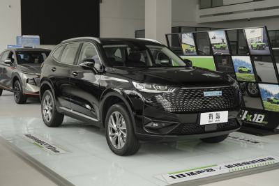 2023款 DHT-PHEV 110KM 悦行版-外观-图片-有驾