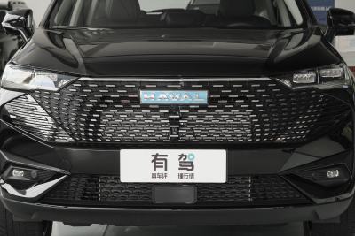 2023款 DHT-PHEV 110KM 悦行版-外观-图片-有驾