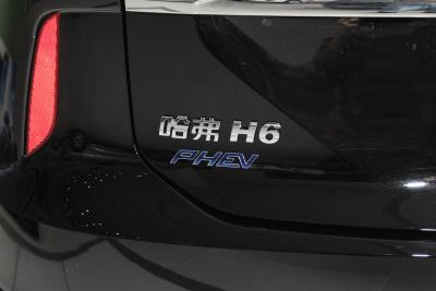 2023款 DHT-PHEV 110KM 悦行版-外观-图片-有驾