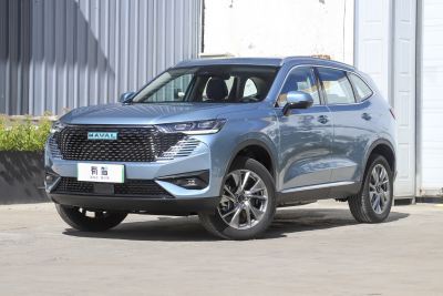 2023款 DHT-PHEV 110KM 悦行版-外观-图片-有驾