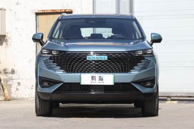 2023款 DHT-PHEV 110KM 悦行版-外观-图片-有驾