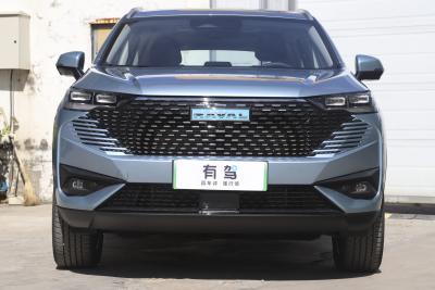 2023款 DHT-PHEV 110KM 悦行版-外观-图片-有驾