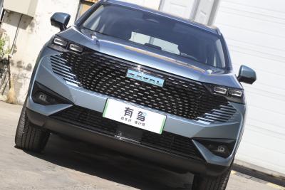 2023款 DHT-PHEV 110KM 悦行版-外观-图片-有驾