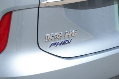 2023款 DHT-PHEV 110KM 悦行版-外观-图片-有驾