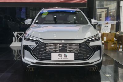 2024款 DM-p 冠军版 215KM 四驱旗舰型-外观-图片-有驾