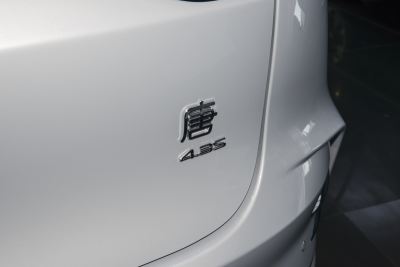 2024款 DM-p 冠军版 215KM 四驱旗舰型-外观-图片-有驾