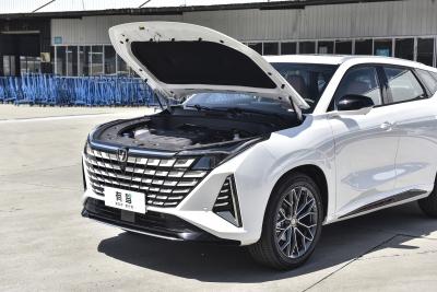 2025款 1.5T 尊贵型-外观-图片-有驾