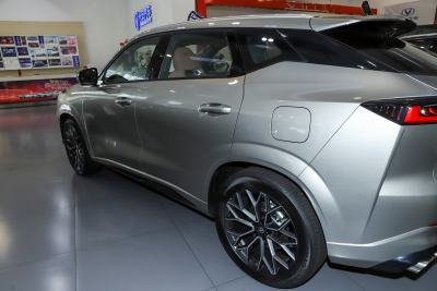 2025款 1.5T 尊贵型-外观-图片-有驾