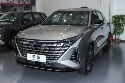 2025款 1.5T 尊贵型-外观-图片-有驾