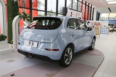 2022款 莫兰迪版 500km长续航 尊贵型 磷酸铁锂-外观-图片-有驾 2022款 莫兰迪版 500km长续航 尊贵型 磷酸铁锂-外观-图片-有驾